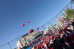 098e5a6b-a6e7-4c47-9237-2ae768e600a7