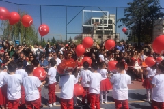 49a17542-b9b1-41d1-95b1-a4eaaedf721a